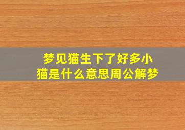 梦见猫生下了好多小猫是什么意思周公解梦