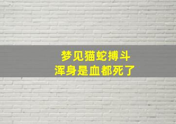 梦见猫蛇搏斗浑身是血都死了