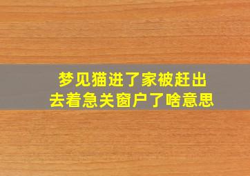 梦见猫进了家被赶出去着急关窗户了啥意思