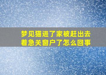 梦见猫进了家被赶出去着急关窗户了怎么回事