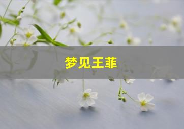 梦见王菲