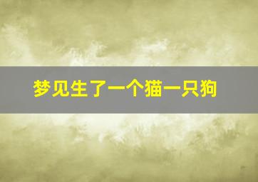 梦见生了一个猫一只狗