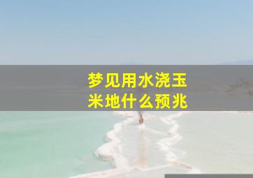 梦见用水浇玉米地什么预兆