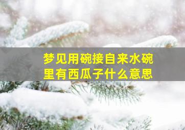 梦见用碗接自来水碗里有西瓜子什么意思