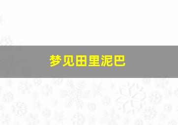 梦见田里泥巴