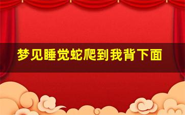 梦见睡觉蛇爬到我背下面