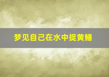 梦见自己在水中捉黄鳝