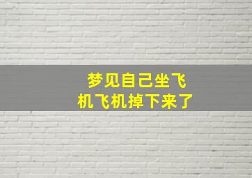 梦见自己坐飞机飞机掉下来了