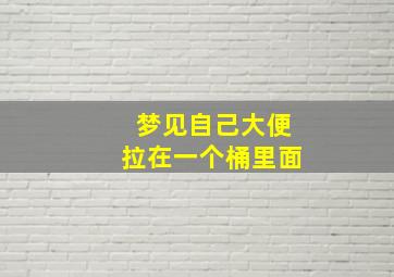 梦见自己大便拉在一个桶里面