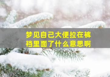 梦见自己大便拉在裤裆里面了什么意思啊