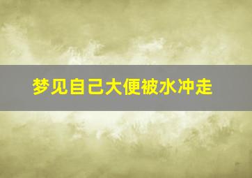 梦见自己大便被水冲走