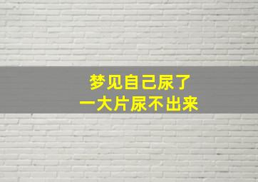 梦见自己尿了一大片尿不出来