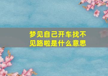 梦见自己开车找不见路啦是什么意思