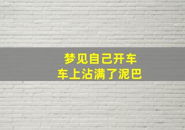 梦见自己开车车上沾满了泥巴