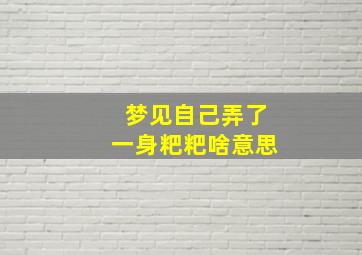 梦见自己弄了一身粑粑啥意思