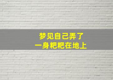 梦见自己弄了一身粑粑在地上