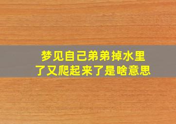 梦见自己弟弟掉水里了又爬起来了是啥意思