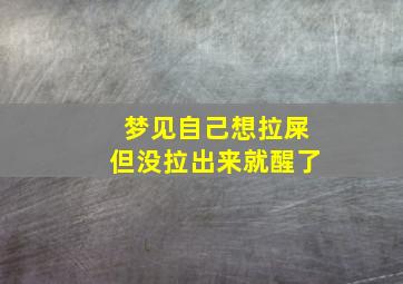 梦见自己想拉屎但没拉出来就醒了