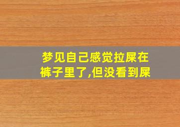 梦见自己感觉拉屎在裤子里了,但没看到屎