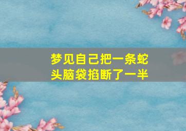 梦见自己把一条蛇头脑袋掐断了一半