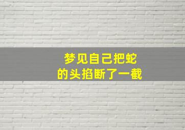 梦见自己把蛇的头掐断了一截