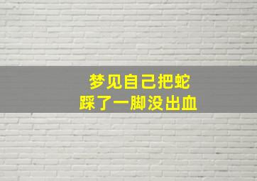 梦见自己把蛇踩了一脚没出血