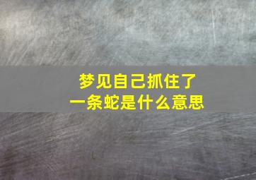 梦见自己抓住了一条蛇是什么意思