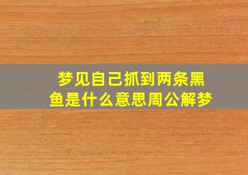 梦见自己抓到两条黑鱼是什么意思周公解梦