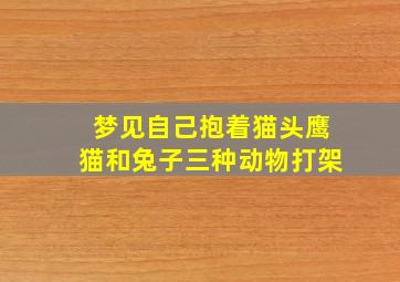 梦见自己抱着猫头鹰猫和兔子三种动物打架