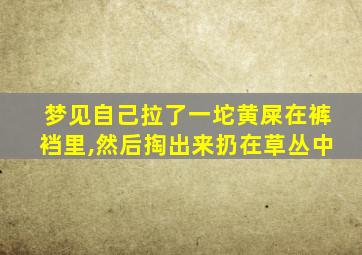 梦见自己拉了一坨黄屎在裤裆里,然后掏出来扔在草丛中