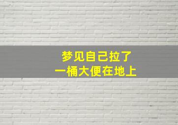 梦见自己拉了一桶大便在地上