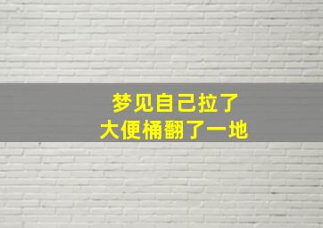 梦见自己拉了大便桶翻了一地