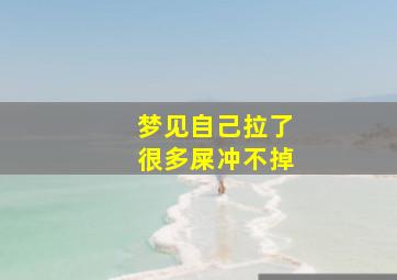 梦见自己拉了很多屎冲不掉