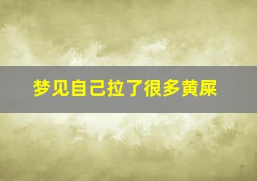 梦见自己拉了很多黄屎