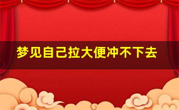 梦见自己拉大便冲不下去