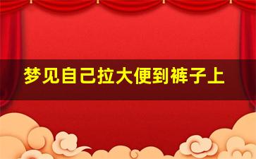 梦见自己拉大便到裤子上