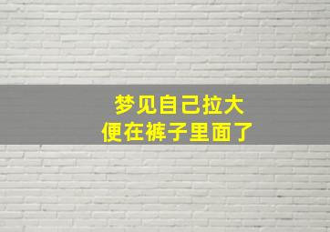 梦见自己拉大便在裤子里面了