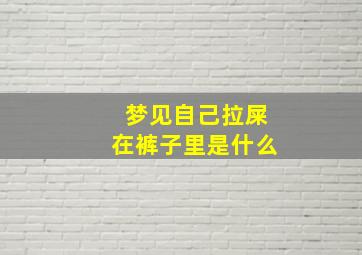 梦见自己拉屎在裤子里是什么