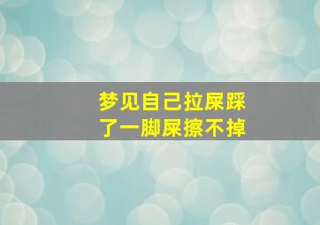 梦见自己拉屎踩了一脚屎擦不掉