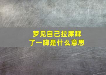 梦见自己拉屎踩了一脚是什么意思