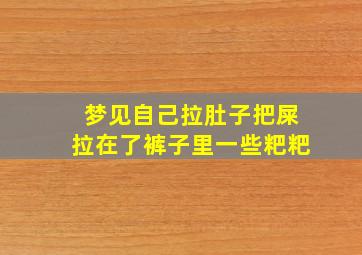 梦见自己拉肚子把屎拉在了裤子里一些粑粑