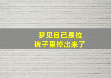 梦见自己是拉裤子里掉出来了