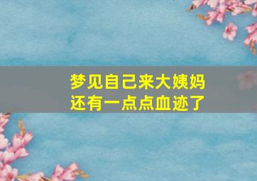 梦见自己来大姨妈还有一点点血迹了