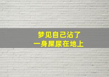 梦见自己沾了一身屎尿在地上