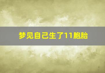 梦见自己生了11胞胎