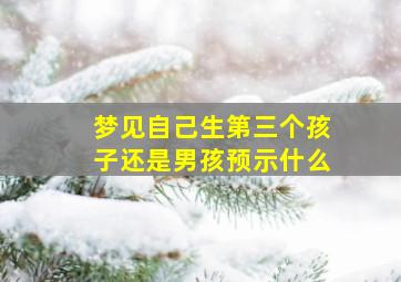 梦见自己生第三个孩子还是男孩预示什么