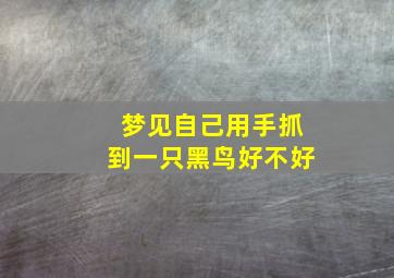 梦见自己用手抓到一只黑鸟好不好