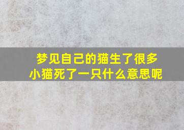 梦见自己的猫生了很多小猫死了一只什么意思呢