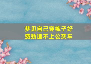 梦见自己穿裤子好费劲追不上公交车