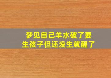 梦见自己羊水破了要生孩子但还没生就醒了